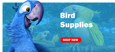 bird supplies
