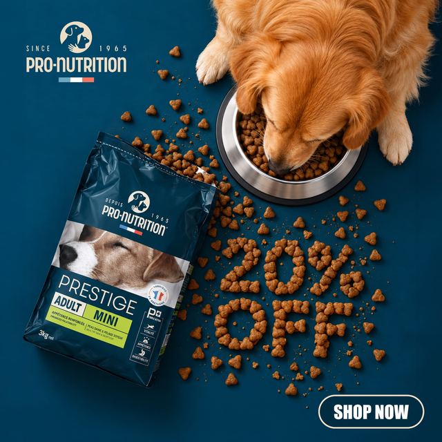 Pro-Nutrition Prestige Adult Mini dry dog food — shop at Petsky