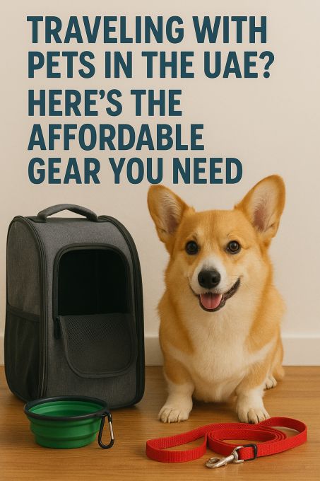 Traveling With Pets In The UAE? Here’s The Affordable Gear You Need