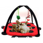Accessories for Cats