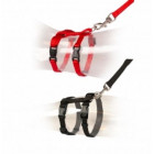Collars & Harness