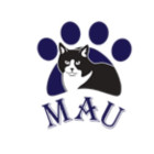 MAU