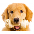Dog Treats