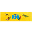 Rio Feed