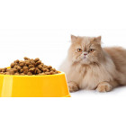 Cat Dry Food