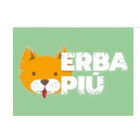 Erba Piu