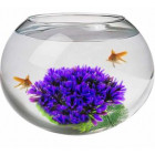  Glass & Plastic Tank 