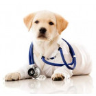 Health Care