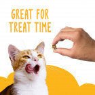  Treats for Cats 