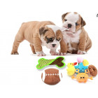 All Dog Toys