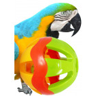 Bird Toys