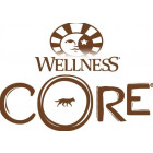 Wellness Core Dry Cat Food