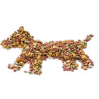 All Dog Dry Food