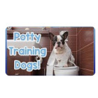 Potty Training AID