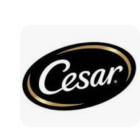 Cesar