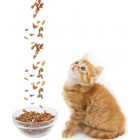 All Cat Dry Food