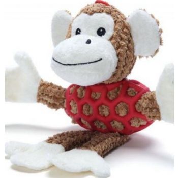  Pawsitiv Dog Toys Monkey Small (034) 