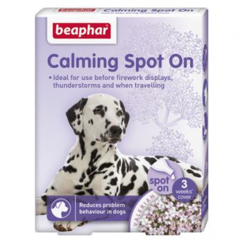  Calming Spot on Dog 
