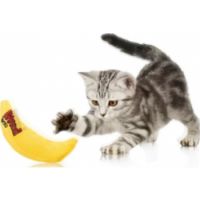 FOR PET BANANA WITH CATNIP ,SIZE: 15*7*3.5cm