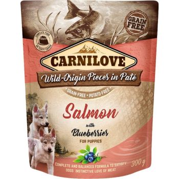  Carnilove Salmon With Blueberries For Puppies (Wet Food Pouches 300g 