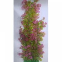 Sea Star Aquarium Plant PLT1758M