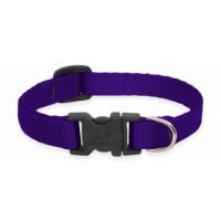 Cat Collar PURPLE - 1/2 Basics