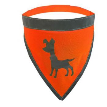  Visibility Dog Bandana, Small - Neon Orange 