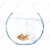 Aquarium Glass  Number 16