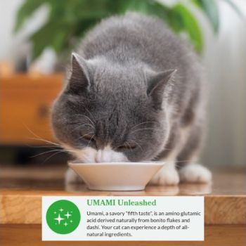  INABA Dashi Delights Chicken with Tuna & Scallop Recipe 70G 