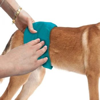  Simple Solution Washable Male Dog Wraps Small   waist 12"-14" 