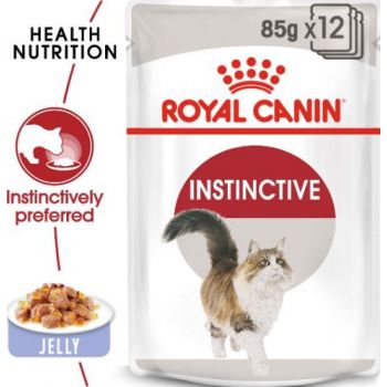  JELLY INSTINCTIVE FOR ADULT CATS (POUCHES)85g 