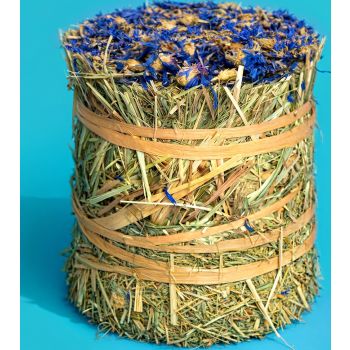  Little One Hay Roll with Aromatic Cornflower 100g 