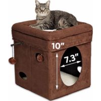 Curious Cat Cube