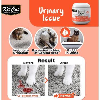  Kit Cat Urinary Care Supplement Powder 150g (5g x 30 Sachets) 