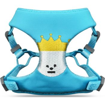 Panda  Cartoon Pattern Harness Lion XXS Blue 