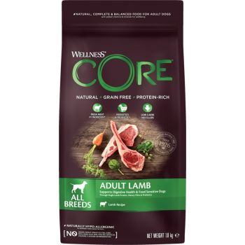  Wellness CORE Adult Lamb Recipe All Breeds Dry Dog Food, 10 Kg 