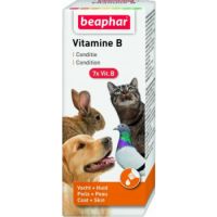 VITAMIN B COMPLEX - 50 ML