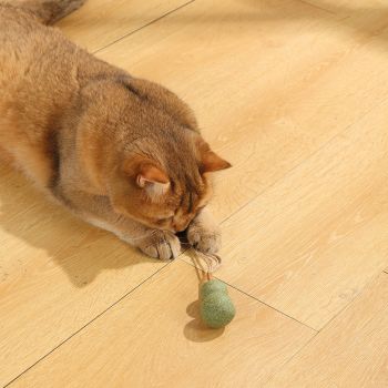  M-PETS Charmy Snowman Catnip Cat Toy 