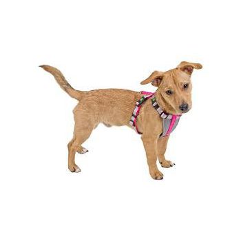  HARNESS FOR SMALL DOGS 81062 