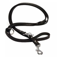 Beeztees Training Leash for Dog, Black