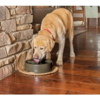  Water Fountain Drinkwell® Current Pet Fountain- Large-UK Adaptor 