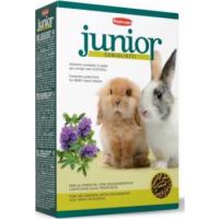 Junior Conigliet(RABBIT) 850