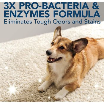  Simple Solution Dog Extreme Stain+Odor Remover, 32 OZ 