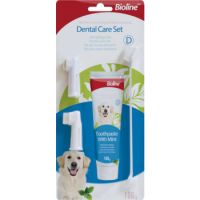 Bioline Dental Care Set- 100g, Flavor - Mint (New Package)