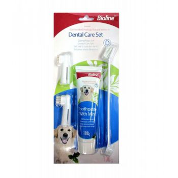 DENTAL CARE SET WITH MINT 100 