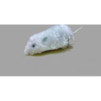  Padovan Cat Toys Wind-Up Mouse (1pcs) 