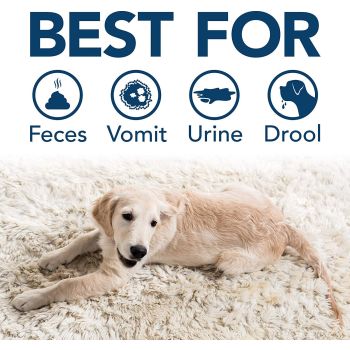  Simple Solution Dog Extreme Stain+Odor Remover, 32 OZ 
