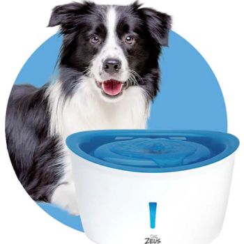  Zeus H2EAU Dog Drinking Fountain Blue Top - 6 L 