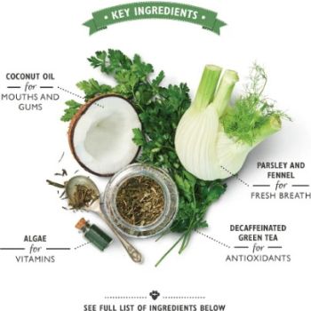  Lily's Kitchen Woofbrush Dental Dog Chews Bulk Pack - MINI 