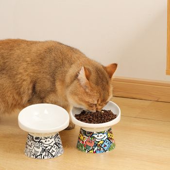  M-PETS Freestyle Tilt’d Raised Ceramic Bowl Mixed Colors 250ML 
